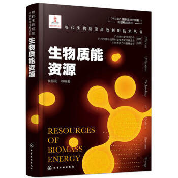 【出版社直供】现代生物质能高效利用技术丛书--生物质能资源 资源转化与能源利用书 农作物秸秆畜禽粪便林业剩余物能源 袁振宏