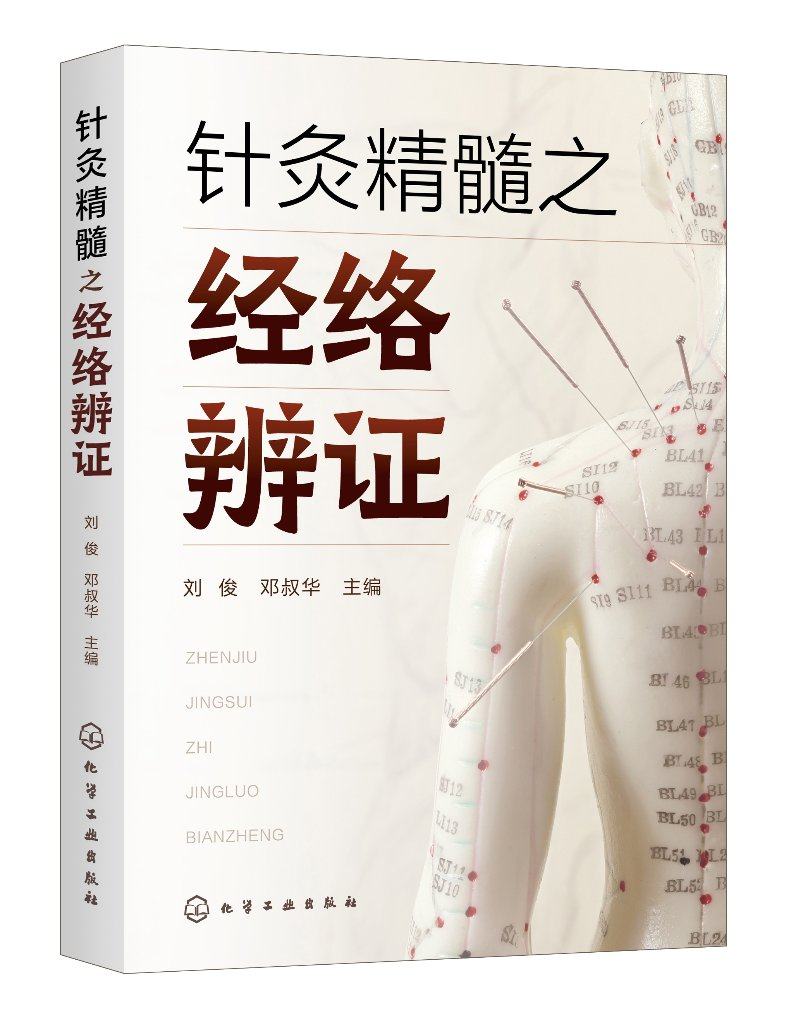 【直发】针灸精髓之经络辨证