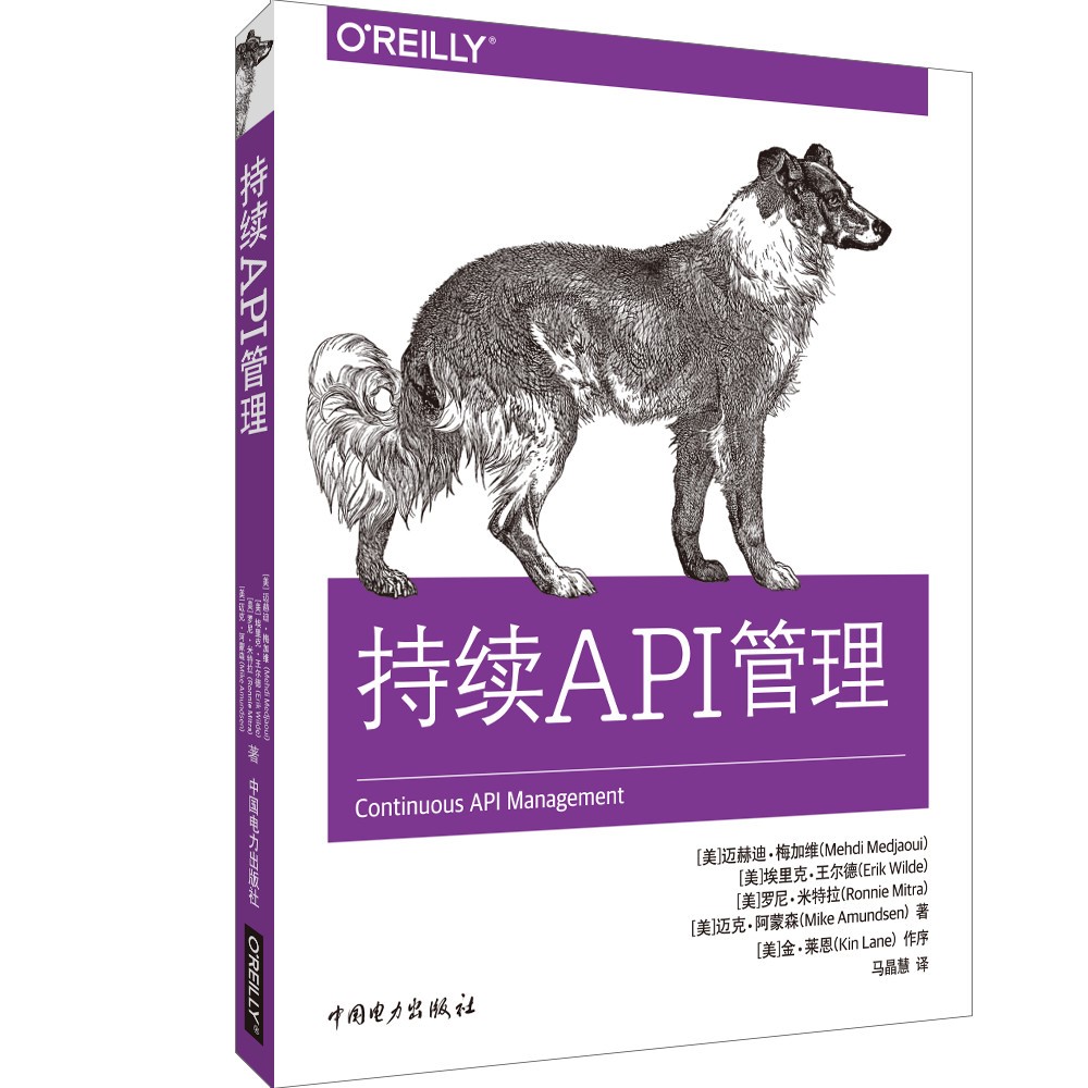 【出版社直供】持续API管理 学习哪些API决策需要管治 以及何时通过何种方法管治 探索API产品生命周期的五大阶段 如何管理API格局