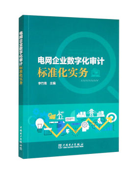 【出版社直供】电网企业数字化审计标准化实务 实施数字化审计标准化管理提供借鉴 也可作为电网企业数字化审计人员进修 自学使用