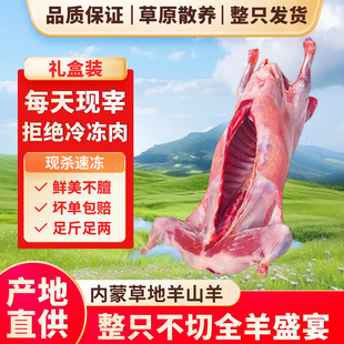 羊肉内蒙古锡林郭勒草原散养羔羊新鲜现杀整只烤全羊