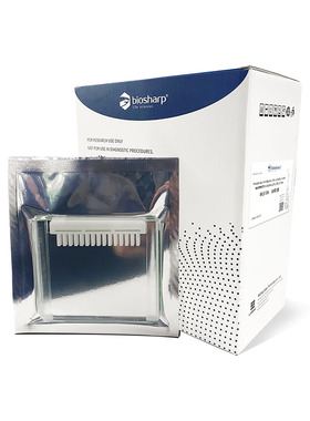 BL570A 蛋白预制胶Tris-Glycine 12％1.5 mm  15孔 30ul