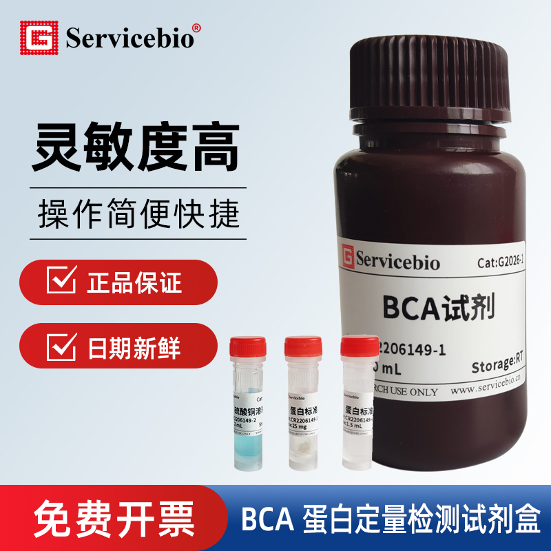 ServicbioBCA蛋白检测试剂盒