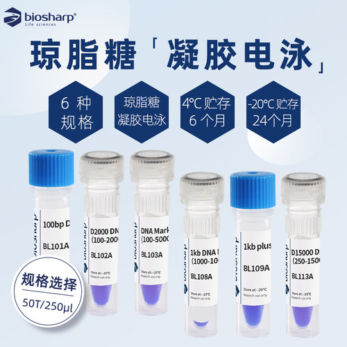 Biosharp琼脂糖凝胶电泳实验试剂