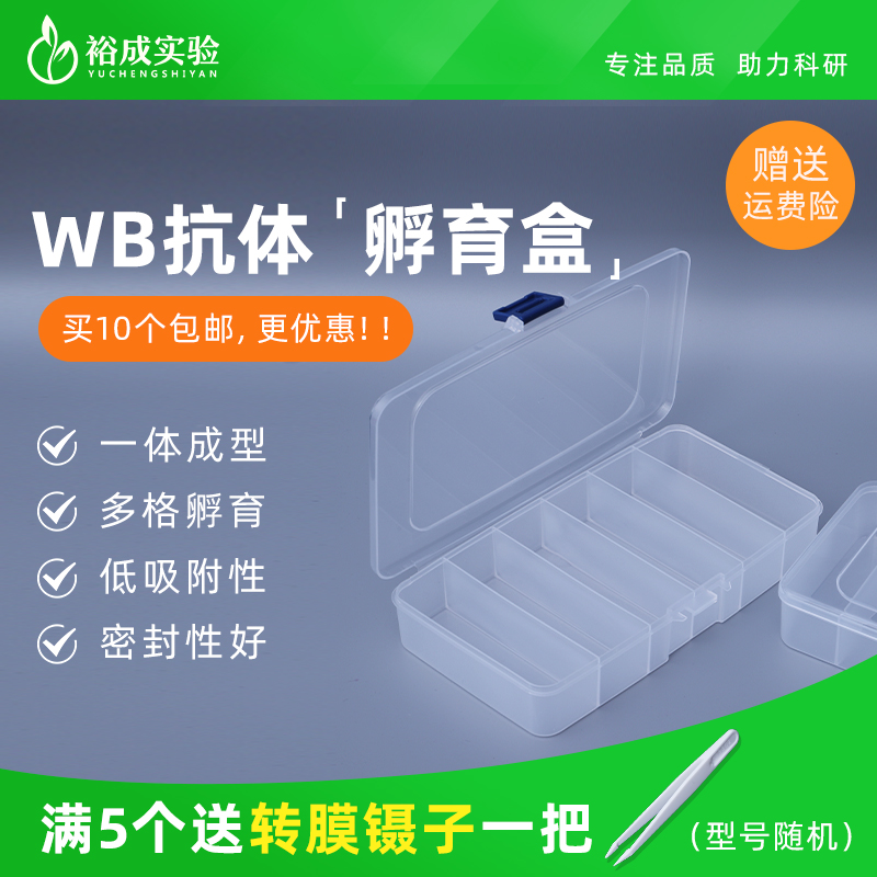 western blot 抗体孵育盒  洗膜盒 脱色盒  封闭盒 单格/5格/6格 办公设备/耗材/相关服务 其它 原图主图