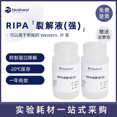 RIPA裂解液Biosharp白鲨
