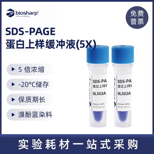 缓冲液蛋白上样biosharp