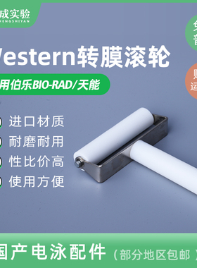 Western Blot转膜滚筒 Western转膜气泡滚WB滚子Western Roller
