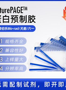 Western blot 蛋白预制胶 SDS-PAGE电泳蛋白胶 MOPS 体系梯度胶