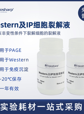 Biosharp 白鲨 Western及IP细胞裂解液 BL509A 100ml