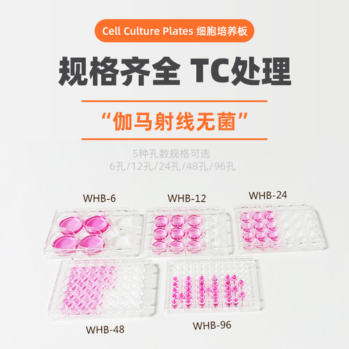 WHB6孔细胞培养板独立包装