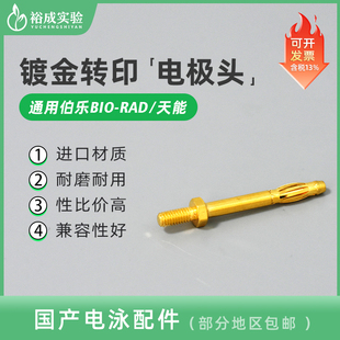 RAD伯乐 电泳电极头 BIO 天能 电泳配件 电泳槽电极头 转膜电极头