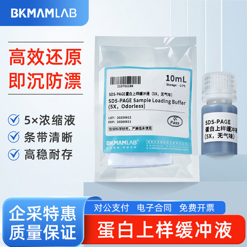 比克曼SDS-PAGE蛋白上样缓冲液