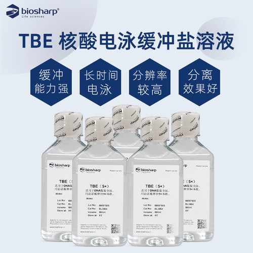 TBE电泳缓冲液Biosharp白鲨