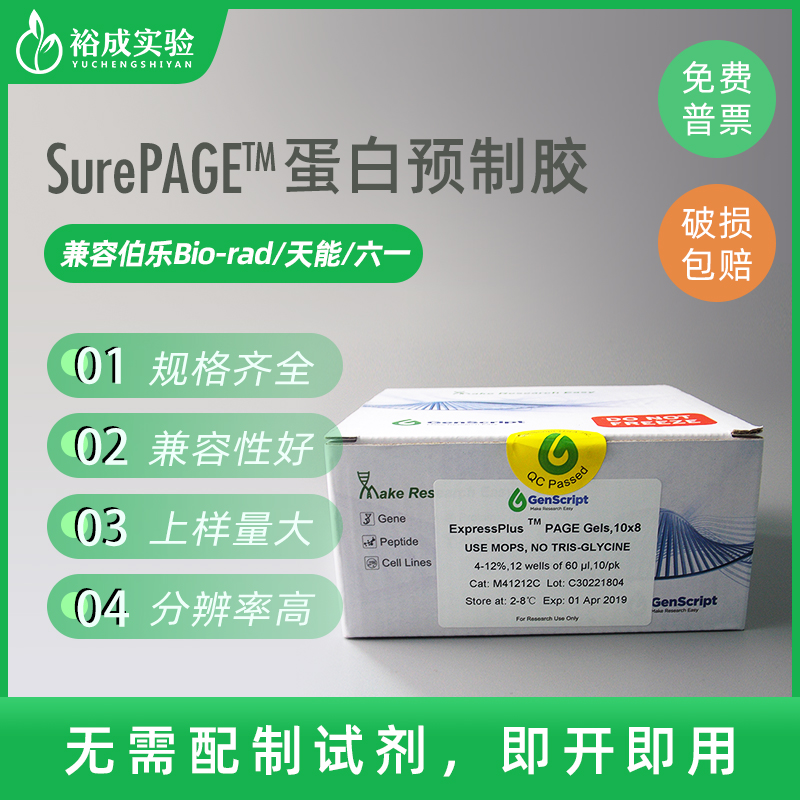 金斯瑞 Genscript SurePAGE蛋白预制胶 SDS-PAGE电泳凝胶板梯度胶-封面