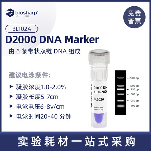 Biosharp琼脂糖凝胶电泳实验耗材
