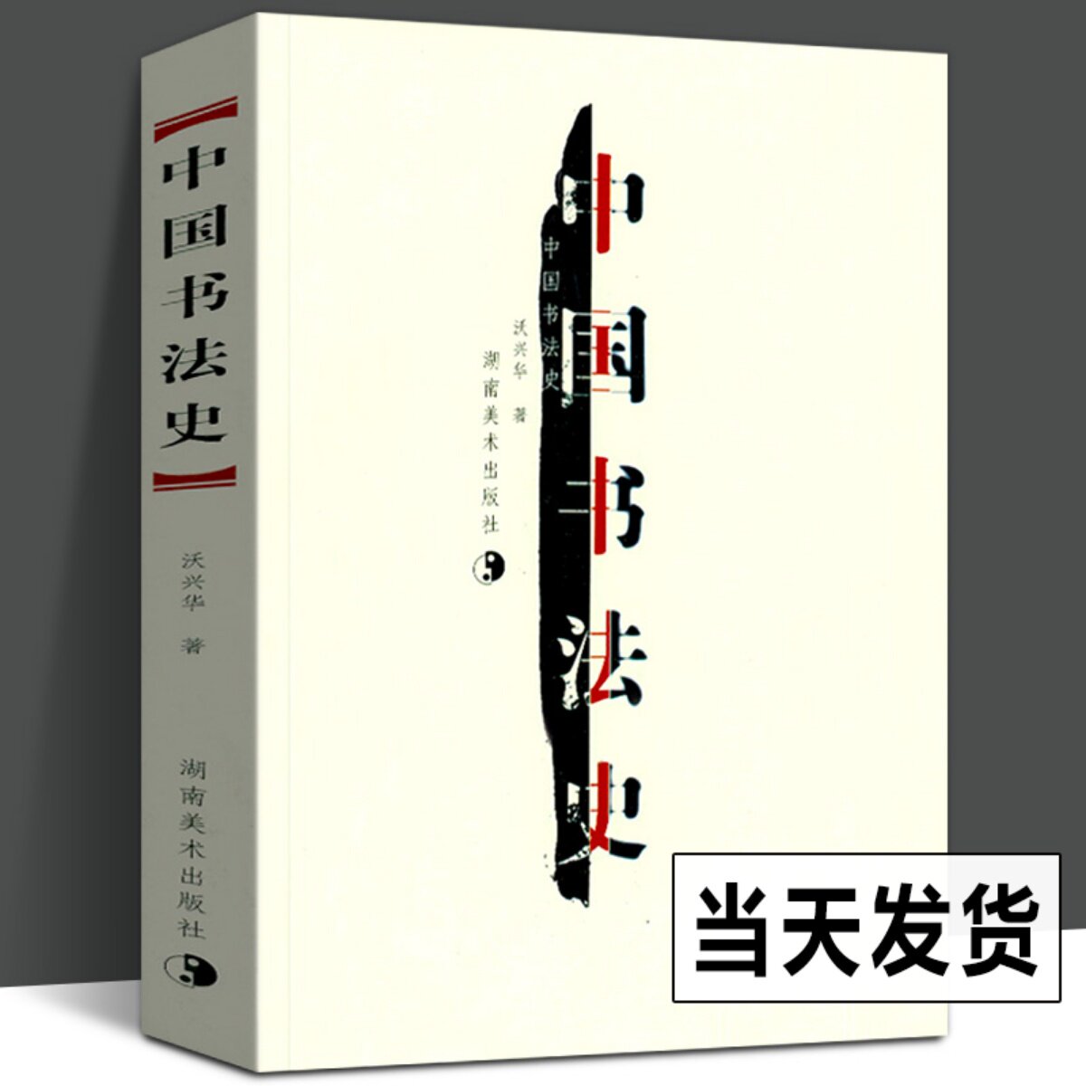 中国书法史 书法字画 沃兴华 著 书法起源甲骨文字金文书法篆书隋唐五