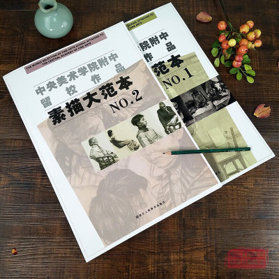 中央美术学院附中留校作品素描大范本1+2 静物临摹教材 石膏人物头像肖像素描速写基础教程书人体写生书