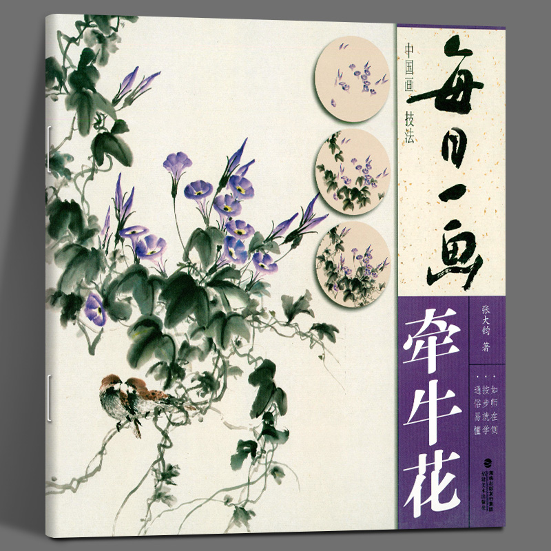 水墨画牵牛花册页工笔画花卉技法画法大全集教材初学者画花卉技巧书籍