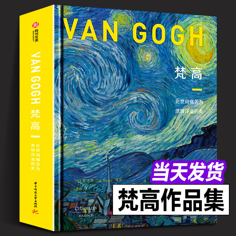 【431页精装版】梵高 化世间痛苦为激情洋溢的美 300幅梵高绘画作品集珍藏星空绘画理念艺术手稿油画 梵高传关于梵高的书梵高画册
