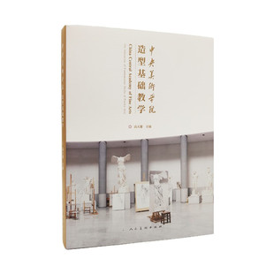 中央美术学院造型基础教学 高天雄 艺术理论 人民美术出版社 9787102094472