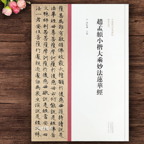 赵孟頫小楷大乘妙法莲华经 赵孟俯字帖 中国历代经典碑帖 楷书系列 书法字帖碑帖 楷书书法赏析书籍 河南美术出版社