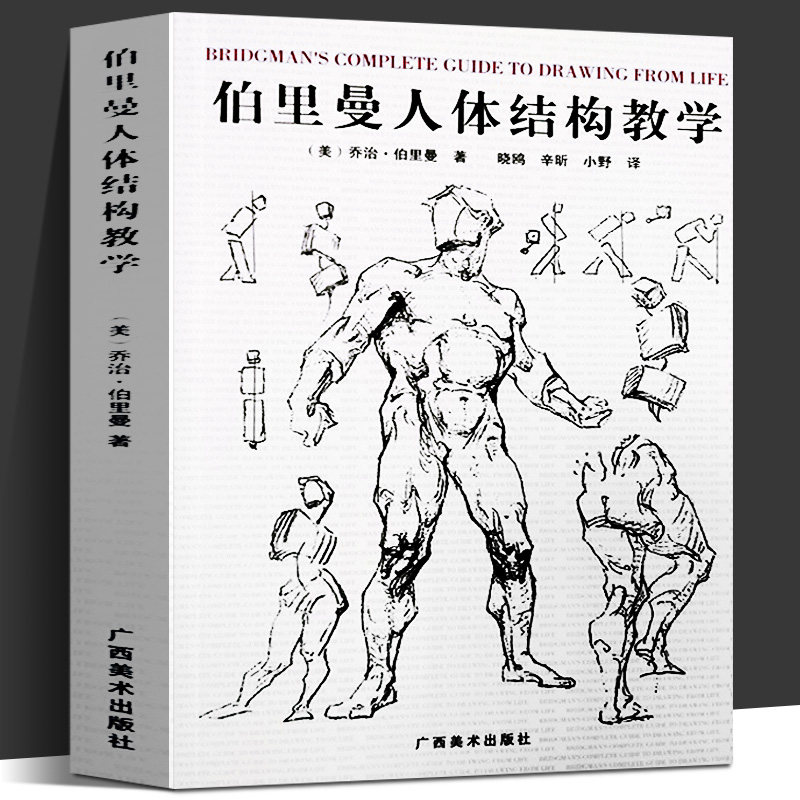 正版 伯里曼人体结构教学32开本 理解人体形态人物绘画素描大师速写