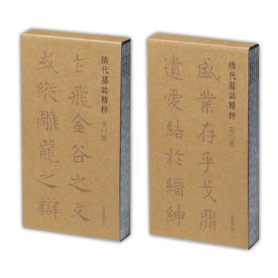全套20册 北朝墓志精粹 隋代墓志精粹 第一辑第二辑 北魏西魏卷北周卷书法作品毛笔字帖毛笔书法教程作品书法篆刻经典碑帖书法艺术