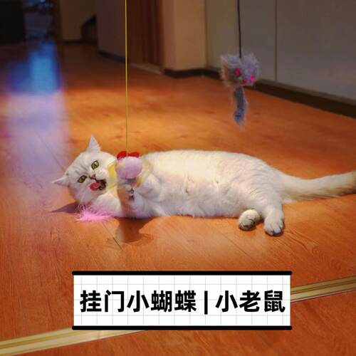 挂门逗猫棒逗猫玩具悬挂式