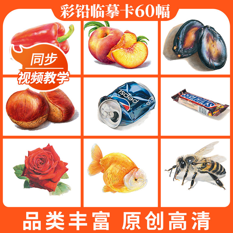 彩铅临摹卡综合篇2022一线美誉步骤对应美术绘画卡片兴趣高清原创