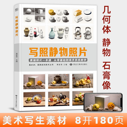 写照素描静物临摹对画构图单体