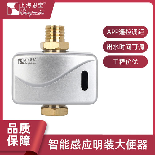 恩宝明装大便冲洗阀家用厕所智能