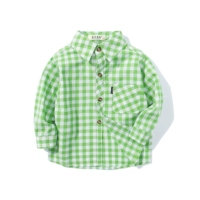 Изумрудная зеленая белая сеть