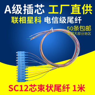 联相星科SC束状尾纤1米12芯单模彩色大方头APC熔接跳线尾缆可定制多模OM1千兆OM2万兆OM3电信级9 62.5 125