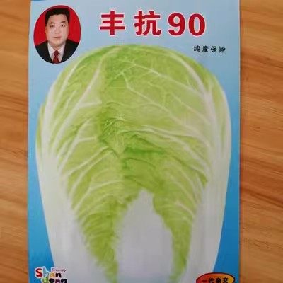 丰抗90天大白菜种子耐热高产