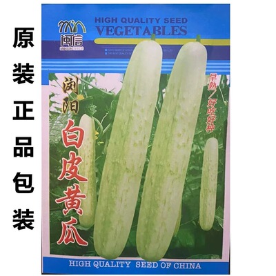 白皮黄瓜种子早熟高产抗病脆甜