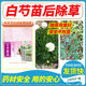 白芍苗后使用除草剂除草不伤苗安全有效赤芍牡丹除草不伤作物袋装