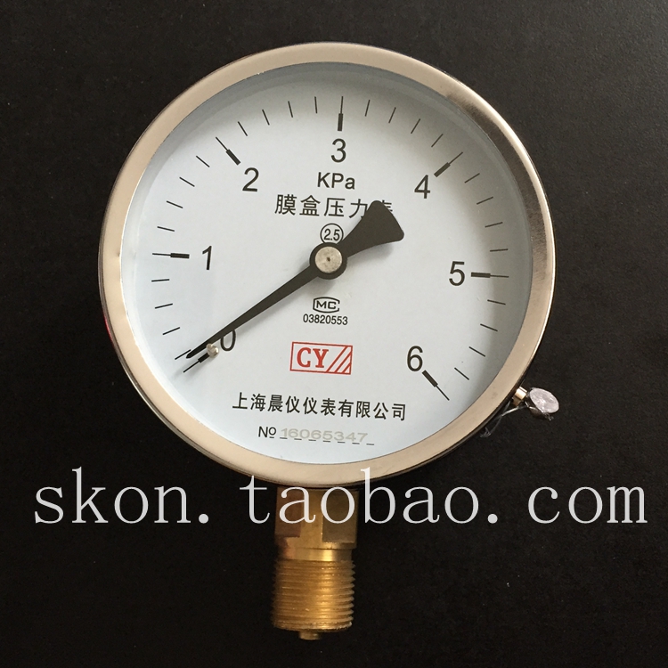YE100膜合压力表0-6KPA螺纹20MM*1.5天然气管道检测压力表