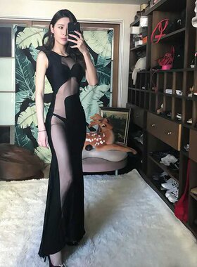 女装性感连衣裙网纱透视小姐