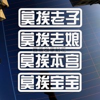 莫挨老子老娘本宫汽车文字搞笑