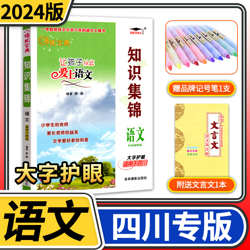 【四川专版】小学语文知识集锦小升初语文人教版核心知识大集结培优宝典小学生四五六年级重点知识基础知识大全