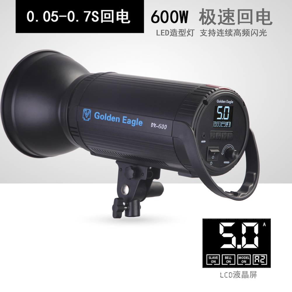 金鹰DX600w闪光灯摄影灯影棚灯影室灯人像婚纱摄影棚拍摄打光专业