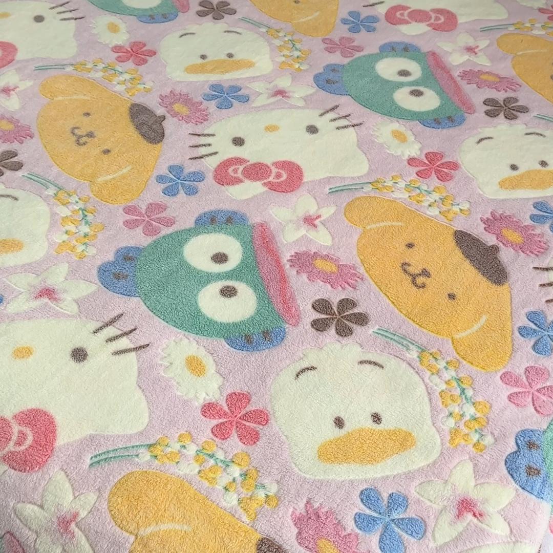 外贸卡通凯蒂猫合集立体图案可铺可盖双面自发热毯子不掉毛可机洗