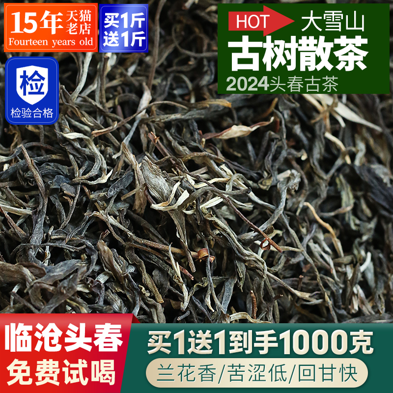 2024年云南普洱茶大雪山古树散茶