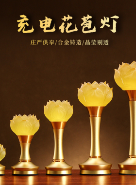 充电led莲花灯佛供灯家用佛堂用品插电供佛灯佛前供灯琉璃长明灯
