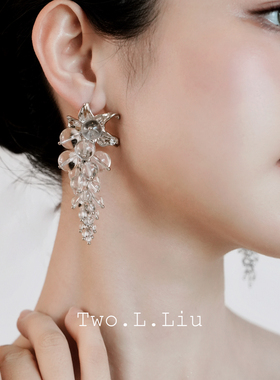 Two.L.Liu银河印象系列水晶流苏耳环女原创设计小众高级感耳饰