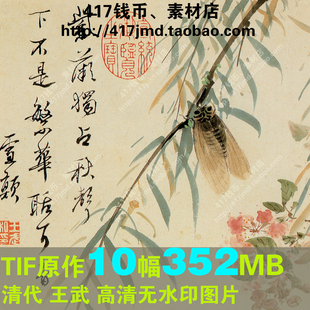 [国画][清代]王武 花卉册页 10幅 高清TIF图片临摹喷绘素材