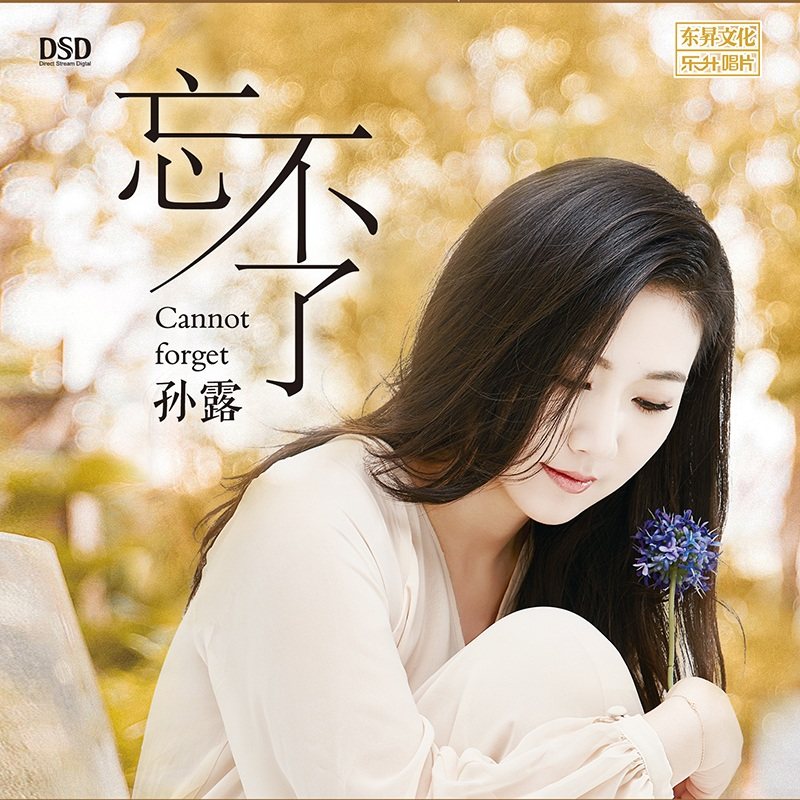 正版 孙露专辑 忘不了 人声试音碟发烧汽车载CD光盘碟片