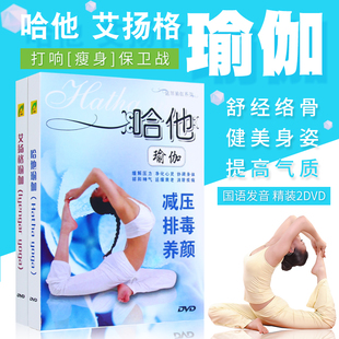 yoga哈他艾扬格瑜伽初级入门教学视频教程详解教材光盘2DVD光碟片