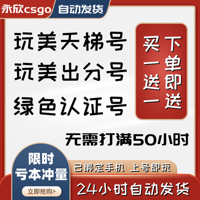 CSGO完美世界平台天梯出分小号